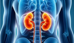 zdjęcie poglądowe przedstawiające nadnercza