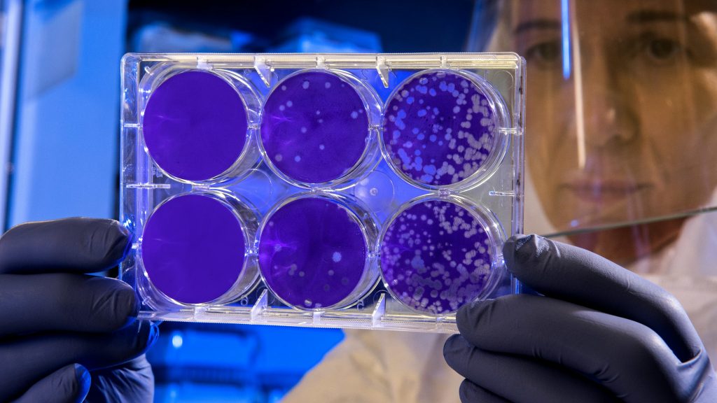 lekarz oglądający wynik badania