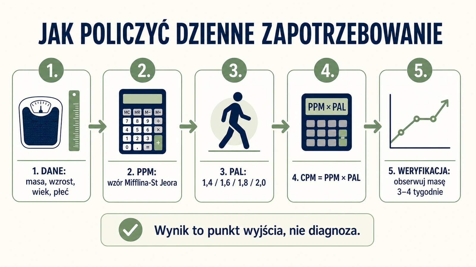 Pięcioetapowa infografika: dane wejściowe, obliczenie PPM, wybór PAL, wyliczenie CPM oraz obserwacja masy ciała.